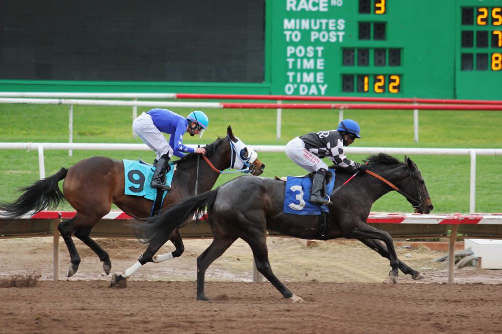 How Horse Race Betting Works?