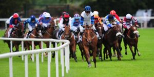 How to Pick a winning Horse