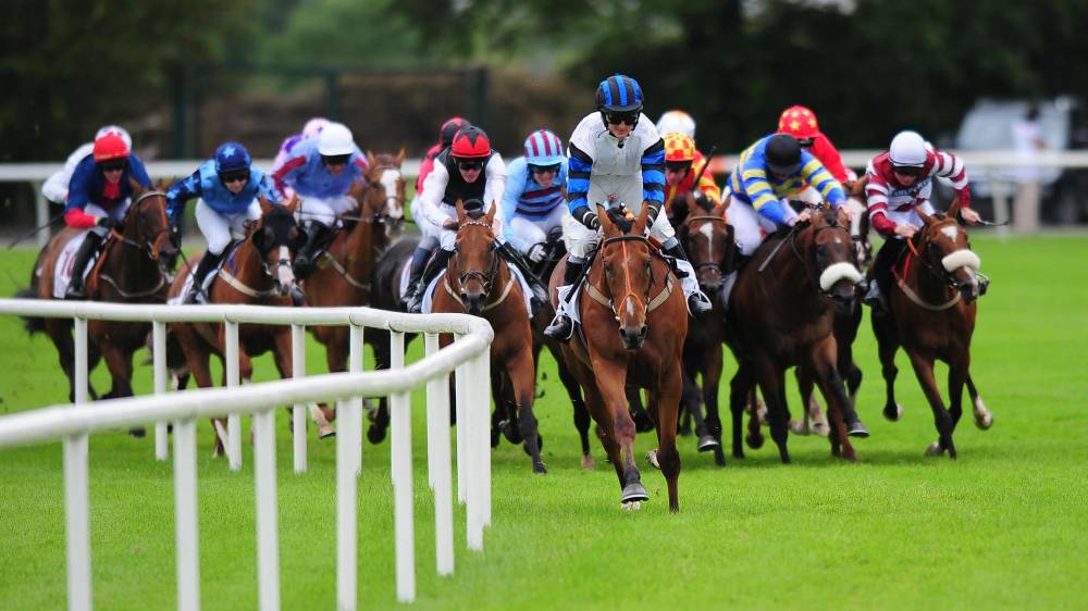How to Pick a Winning Horse?